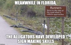 1747090357105.jpeg