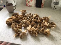 IMG_0269.jpeg