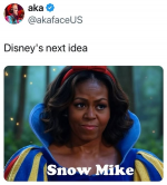 1747795365719.png