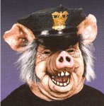 piggy.jpg