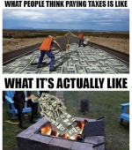 1747884268598.png