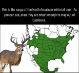 1748048013697.png