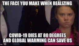 1748643302297.png
