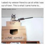 1748958116612.png