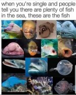 1749173130197.jpeg