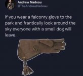 IMG_0339.jpeg