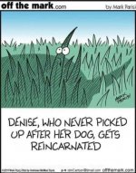 reincarnated.jpeg