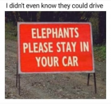 1749393055913.png