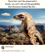 1749559412815.png