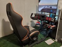 Sim-1.jpg