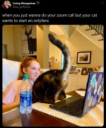 1749707031092.png