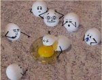 eggs dead.JPG