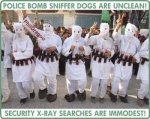 Sniffers.jpg