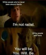 IMG_0310.jpeg