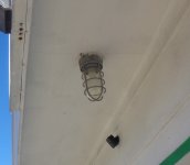 Outdoor vapor tight light.JPG Outdoor vapor tight light.JPG