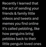 1765674213610.jpeg