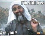 chez Bin L still free.JPG