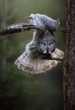 IMG_3785.jpeg