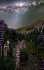 IMG_3295.jpeg
