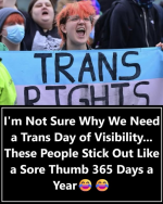 1775330071112.png