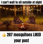 IMG_9744.jpeg