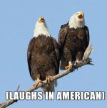 IMG_3816.jpeg