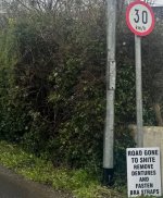IMG_9858.jpeg