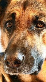 IMG_0195.jpeg