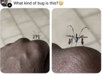 IMG_0496.jpeg