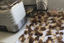IMG_0304.jpeg