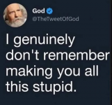 1780156212161.png