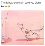 1780202662675.png