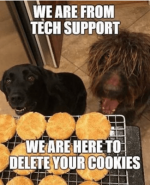 1780256468004.png