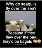 1780256733493.jpeg