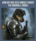 1780257396121.png