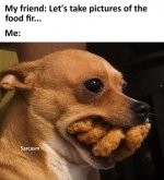 IMG_1211.jpeg