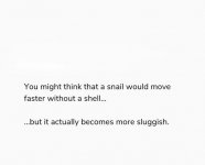 IMG_1220.jpeg