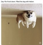 IMG_2113.jpeg