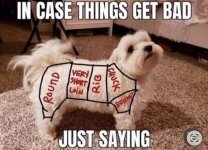 IMG_2112.jpeg