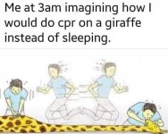 1000209667.jpg