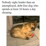 6a1d5ff504148.jpeg