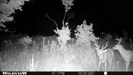 IMG_20260623_172006.jpg