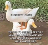 IMG_2035.png