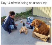 tumblr_owzdn2IueP1r3gqwio1_1280.jpg