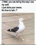 IMG_2179.jpeg