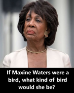 1783290409632.png