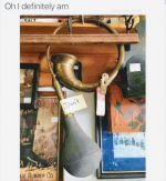 1783534150917.png