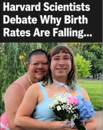 1785629203413.png