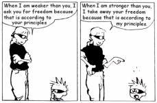 IMG_3016.png