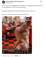 1787061347790.png